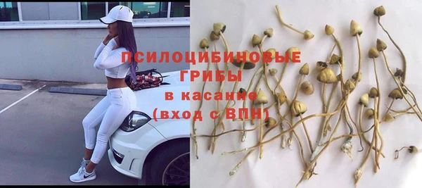 PSILOCYBIN Армянск