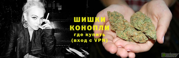 дмт Аркадак